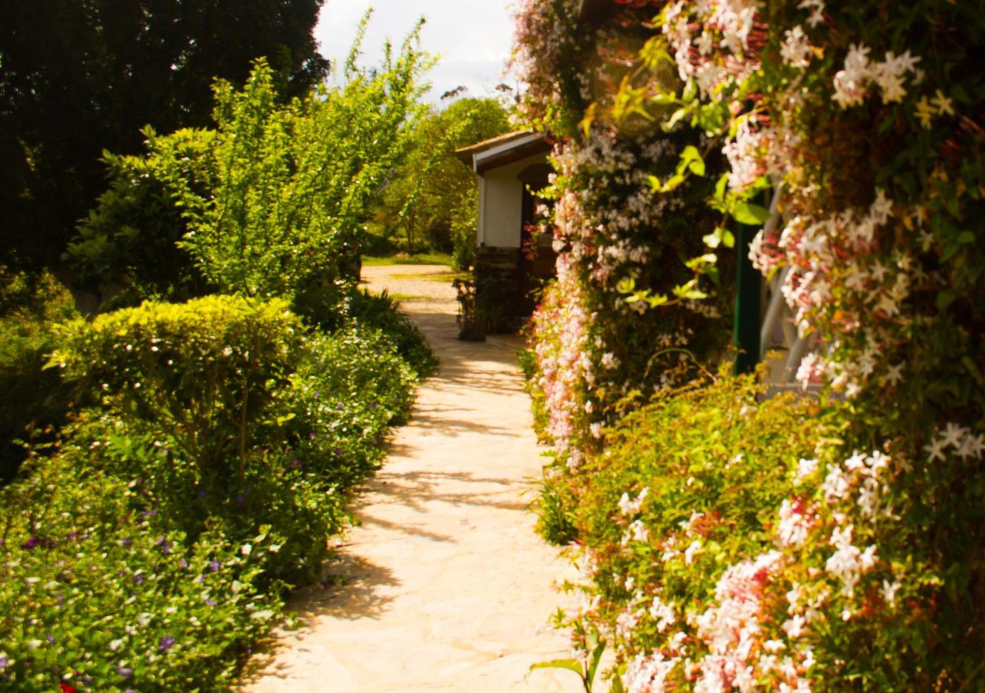 Paradise In Portugal Santa Clara-a-Velha Eksteriør bilde